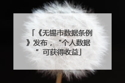 《无锡市数据条例》发布，“个人数据”可获得收益
