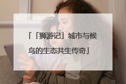 「狮游记」城市与候鸟的生态共生传奇