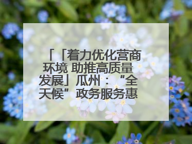 「着力优化营商环境 助推高质量发展」瓜州：“全天候”政务服务惠企便民