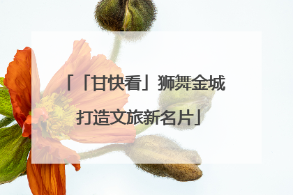 「甘快看」狮舞金城 打造文旅新名片