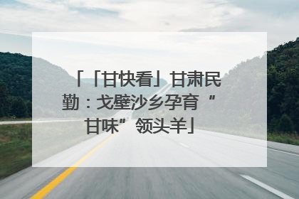 「甘快看」甘肃民勤：戈壁沙乡孕育“甘味”领头羊