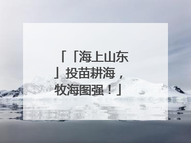 「海上山东」投苗耕海，牧海图强！