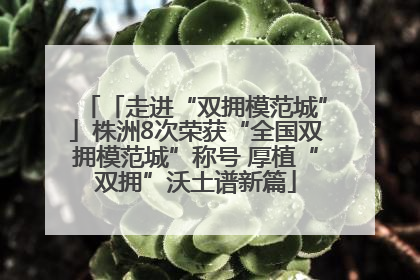 「走进“双拥模范城”」株洲8次荣获“全国双拥模范城”称号 厚植“双拥”沃土谱新篇