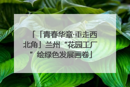 「青春华章·重走西北角」兰州“花园工厂”绘绿色发展画卷