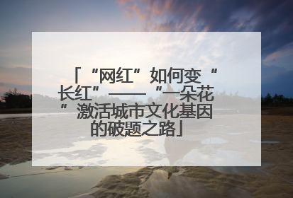 “网红”如何变“长红”——“一朵花”激活城市文化基因的破题之路