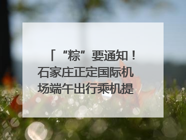 “粽”要通知！石家庄正定国际机场端午出行乘机提示，快来get