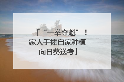 “一举夺魁”！家人手捧自家种植向日葵送考