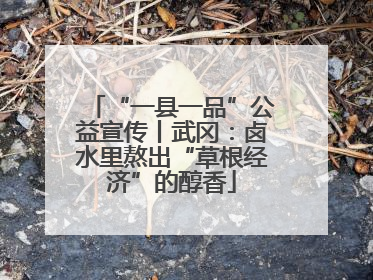 “一县一品”公益宣传丨武冈：卤水里熬出“草根经济”的醇香