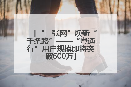 “一张网”焕新“千条路”——“粤通行”用户规模即将突破600万