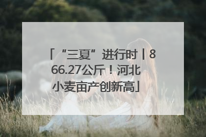 “三夏”进行时丨866.27公斤！河北小麦亩产创新高