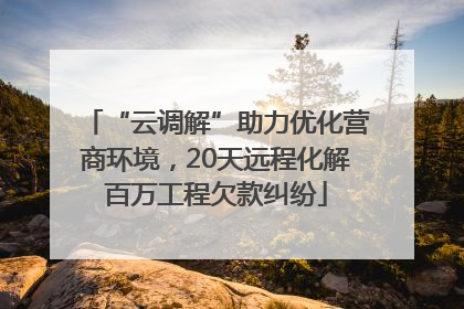 “云调解”助力优化营商环境，20天远程化解百万工程欠款纠纷