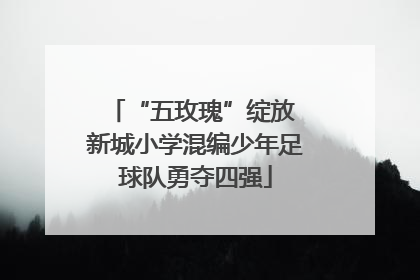 “五玫瑰”绽放 新城小学混编少年足球队勇夺四强