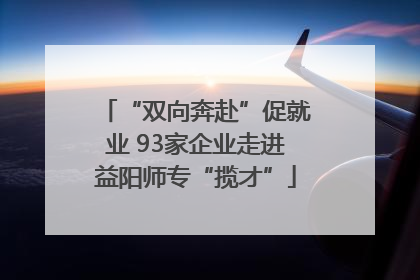 “双向奔赴”促就业 93家企业走进益阳师专“揽才”