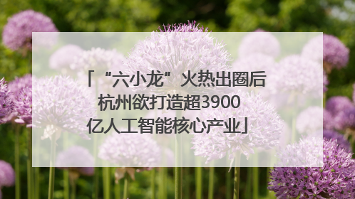 “六小龙”火热出圈后 杭州欲打造超3900亿人工智能核心产业