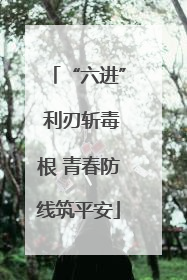 “六进” 利刃斩毒根 青春防线筑平安