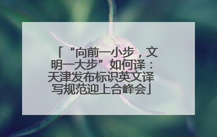 “向前一小步，文明一大步”如何译：天津发布标识英文译写规范迎上合峰会