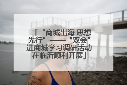 “商城出海 思想先行”——“双会”进商城学习调研活动在临沂顺利开展