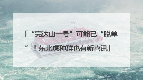 “完达山一号”可能已“脱单”！东北虎种群也有新喜讯