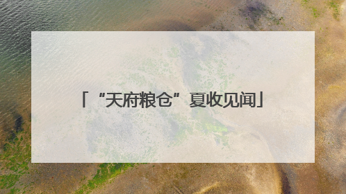 “天府粮仓”夏收见闻