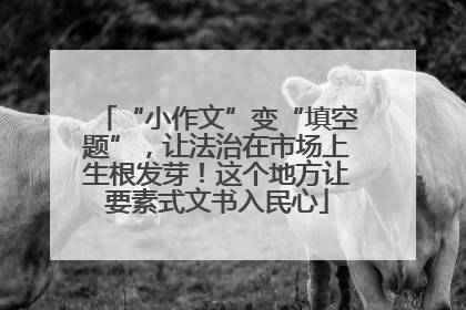 “小作文”变“填空题”，让法治在市场上生根发芽！这个地方让要素式文书入民心