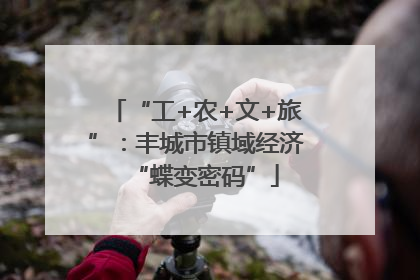 “工+农+文+旅”：丰城市镇域经济“蝶变密码”