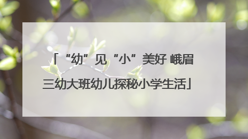 “幼”见“小”美好 峨眉三幼大班幼儿探秘小学生活