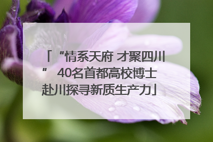 “情系天府 才聚四川” 40名首都高校博士赴川探寻新质生产力