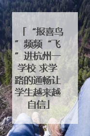 “报喜鸟”频频“飞”进杭州一学校 求学路的通畅让学生越来越自信
