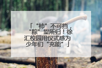 “柿”不可挡，“粽”望所归！徐汇校园用仪式感为少年们“充能”