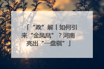 “政”解丨如何引来“金凤凰”？河南亮出“一盘棋”