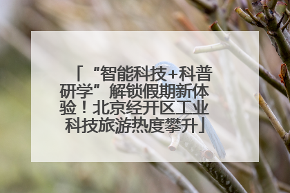 “智能科技+科普研学”解锁假期新体验！北京经开区工业科技旅游热度攀升