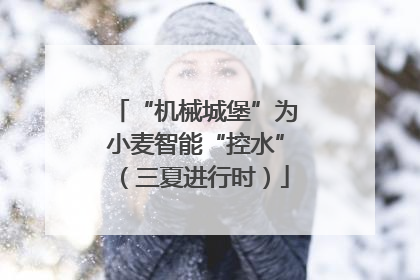 “机械城堡”为小麦智能“控水”（三夏进行时）