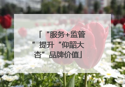 “服务+监管”提升“仰韶大杏”品牌价值