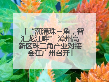 “潮涌珠三角，智汇龙江畔” 漳州高新区珠三角产业对接会在广州召开
