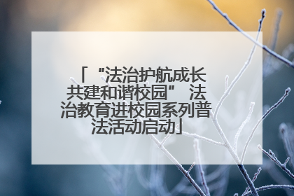 “法治护航成长 共建和谐校园” 法治教育进校园系列普法活动启动