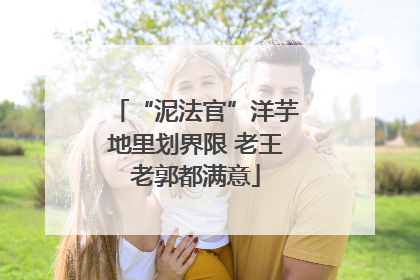 “泥法官”洋芋地里划界限 老王老郭都满意