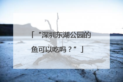 “深圳东湖公园的鱼可以吃吗？”