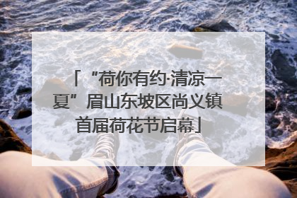 “荷你有约·清凉一夏”眉山东坡区尚义镇首届荷花节启幕