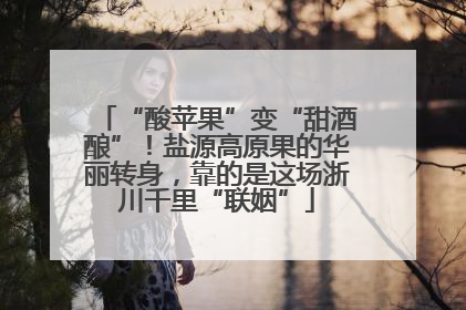 “酸苹果”变“甜酒酿”！盐源高原果的华丽转身，靠的是这场浙川千里“联姻”