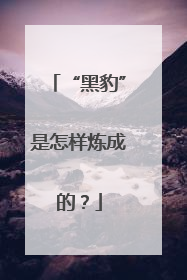 “黑豹”是怎样炼成的？