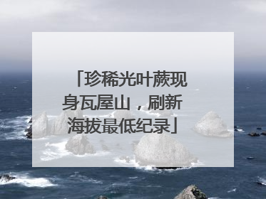 珍稀光叶蕨现身瓦屋山，刷新海拔最低纪录
