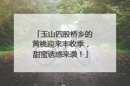 玉山四股桥乡的黄桃迎来丰收季，甜蜜诱惑来袭！
