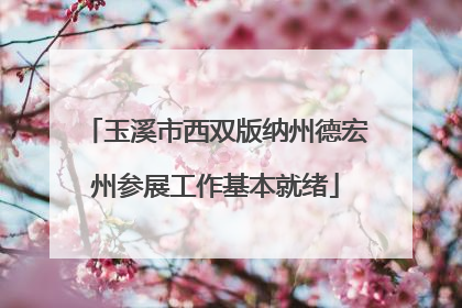 玉溪市西双版纳州德宏州参展工作基本就绪