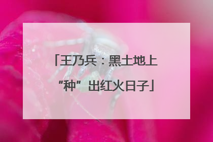 王乃兵：黑土地上“种”出红火日子