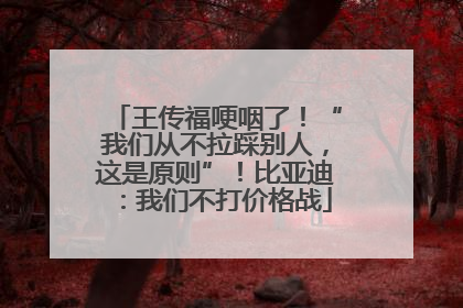 王传福哽咽了！“我们从不拉踩别人，这是原则”！比亚迪：我们不打价格战