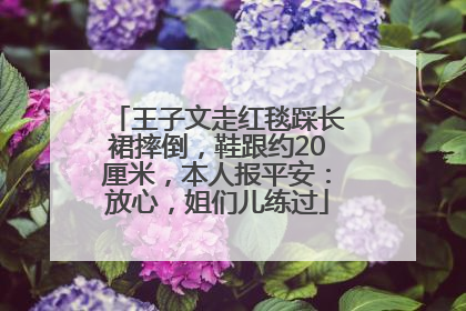 王子文走红毯踩长裙摔倒，鞋跟约20厘米，本人报平安：放心，姐们儿练过