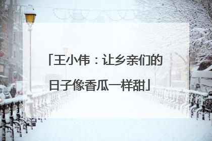 王小伟：让乡亲们的日子像香瓜一样甜