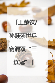 王楚钦/孙颖莎世乒赛混双“三连冠”