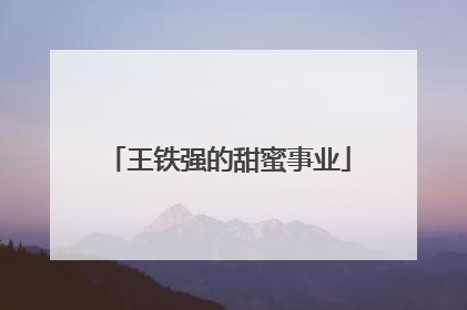 王铁强的甜蜜事业