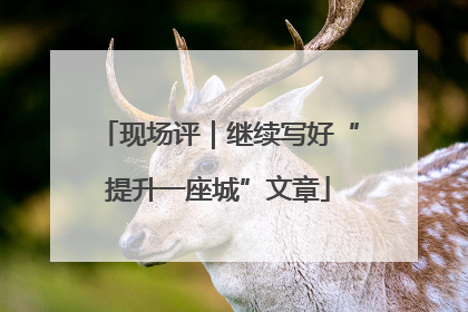 现场评｜继续写好“提升一座城”文章